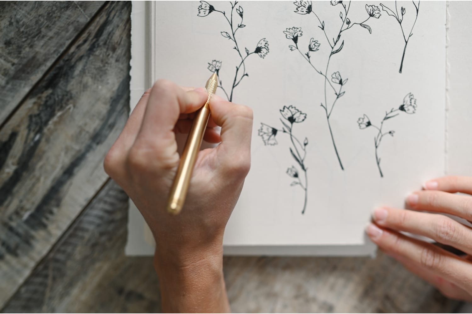 iaac-bonnie-christine-drawing