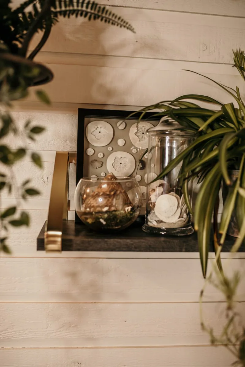 iaac-cara-chace-seashells-wall-art