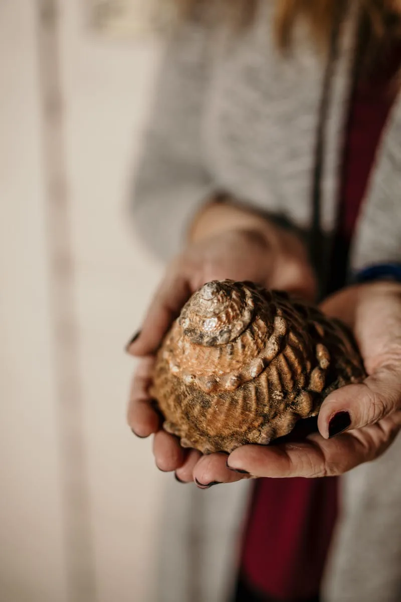 iaac-cara-chace-holding-seashell