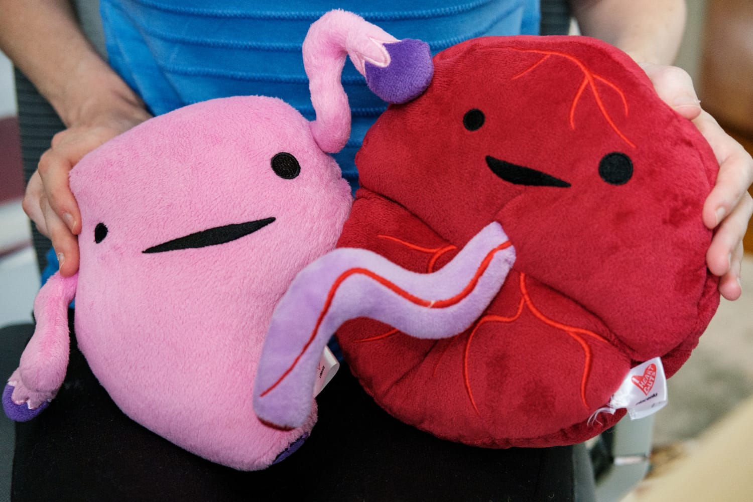 iaac-rebecca-dekker-evidence-based-birth-teaching-props-resources