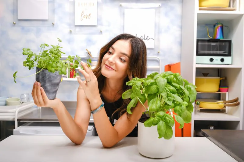 iaac-daniella-malfitano-with-basil-plant-in-studio