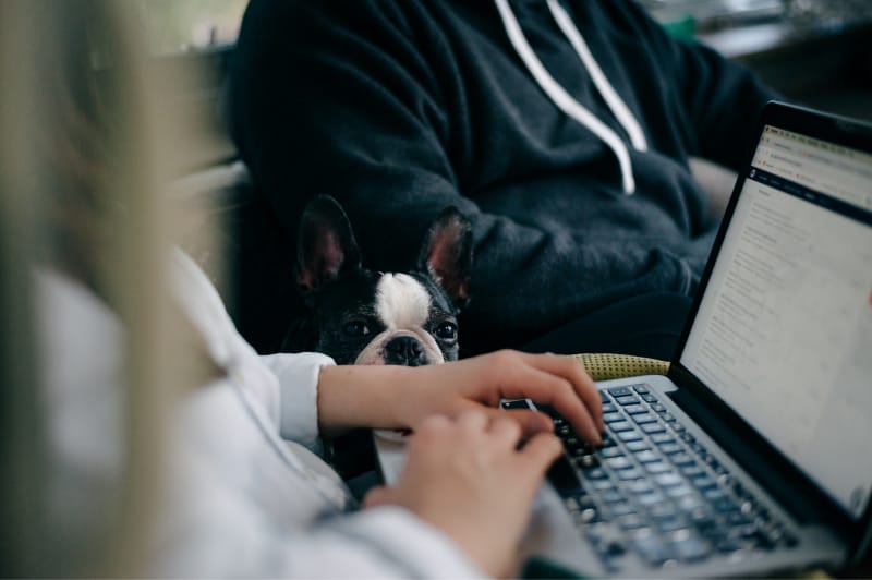 iaac-nick-true-typing-laptop