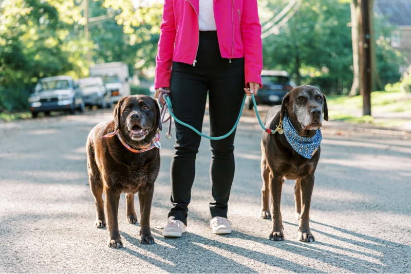 iaac-tori-mistick-side-4