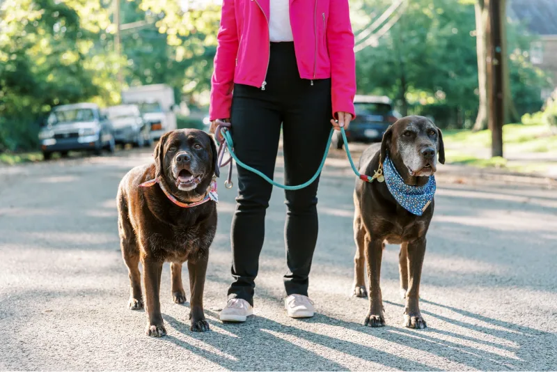 iaac-tori-mistick-side-4