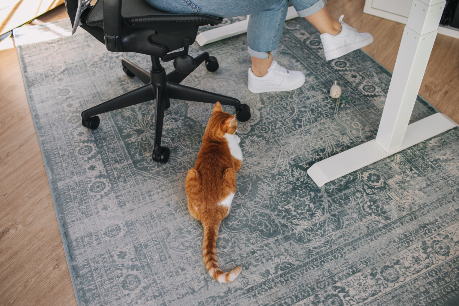 iaac-charli-prangley-full-01