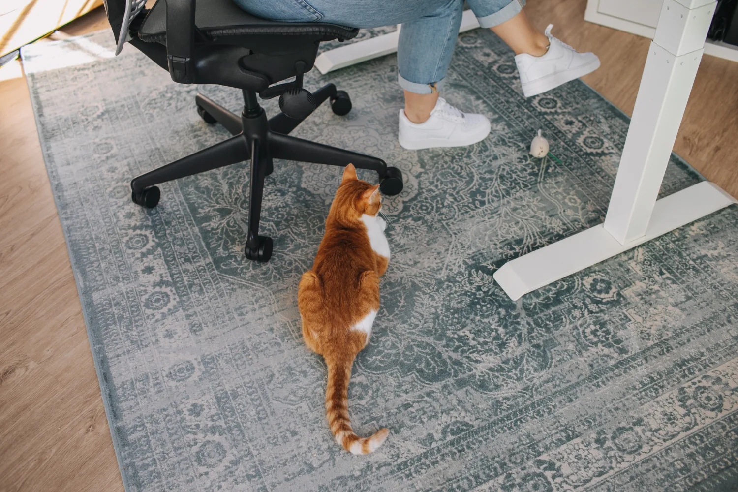 iaac-charli-prangley-full-01