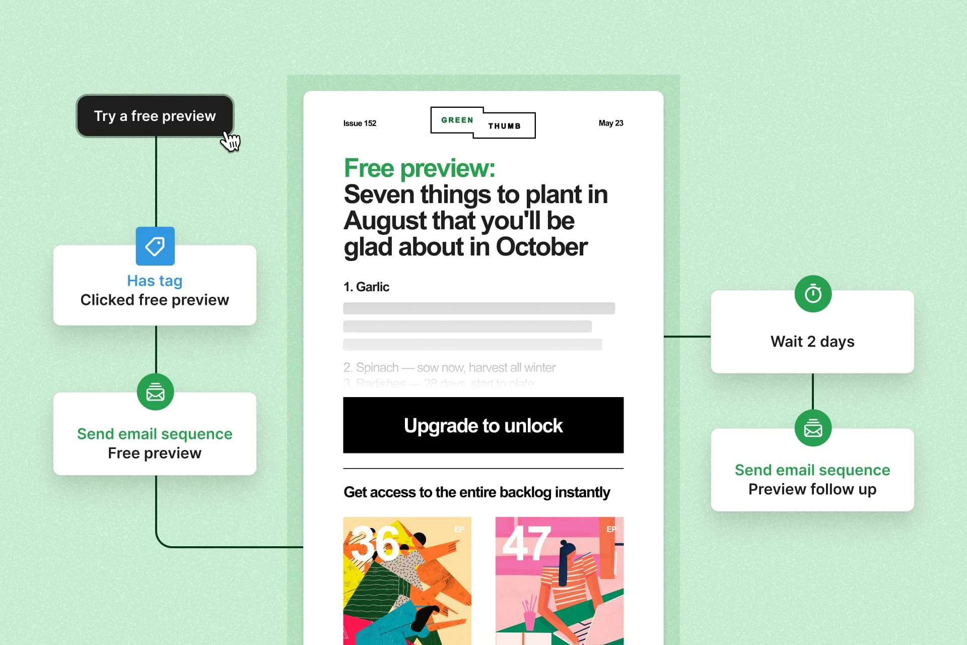 A Green Thumb newsletter preview for Issue 152 titled “Free preview: Seven things to plant in August that you’ll be glad about in October,” with an Upgrade to unlock button. Connected automation steps: Try a free preview, Has tag Clicked free preview, Send email sequence Free preview, Wait 2 days, and Send email sequence Preview follow up.