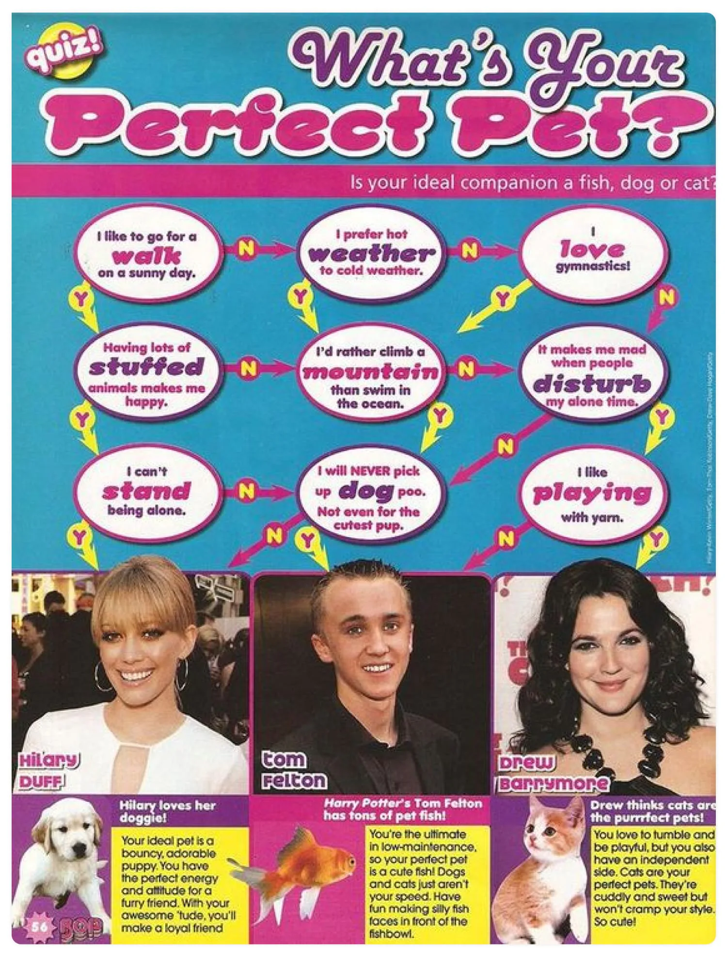 how to make a personality quiz