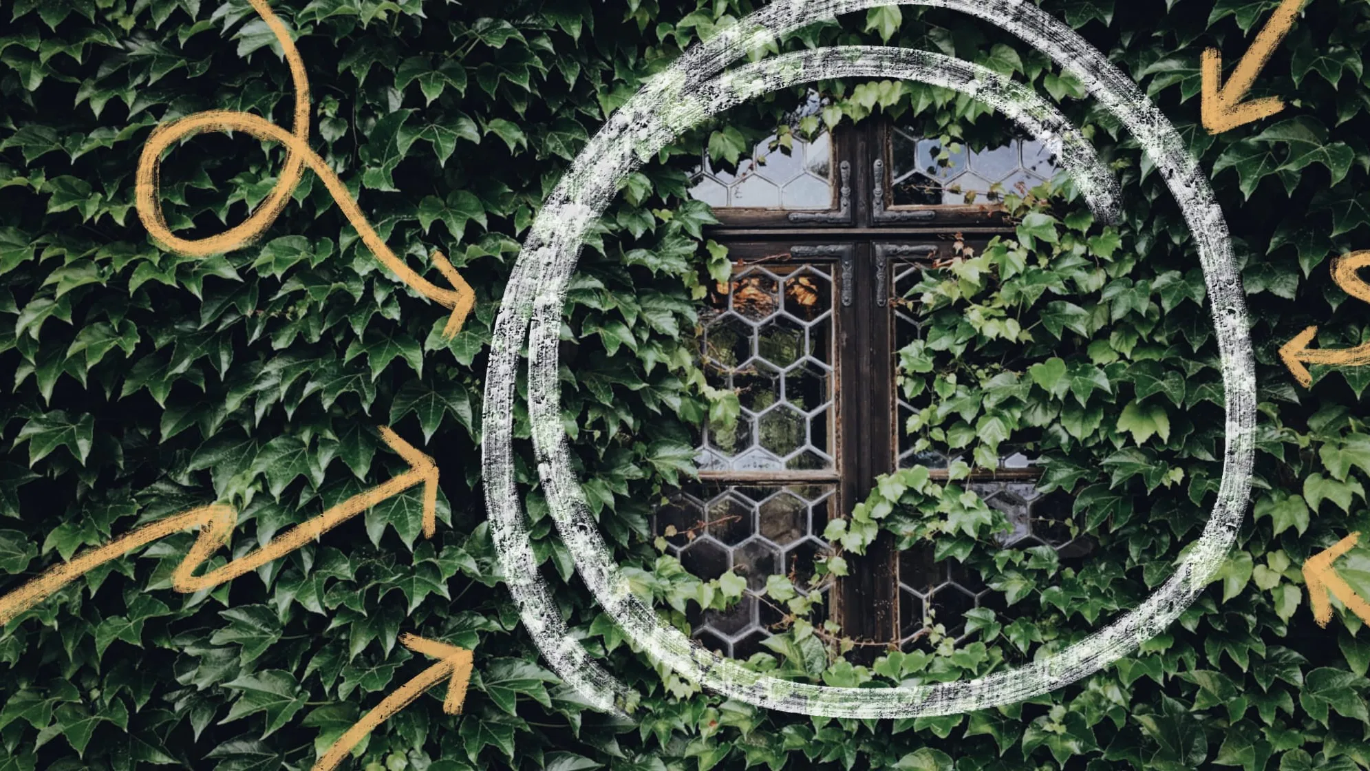 The power of a niche: How Monica Lent built a thriving paid community for developers