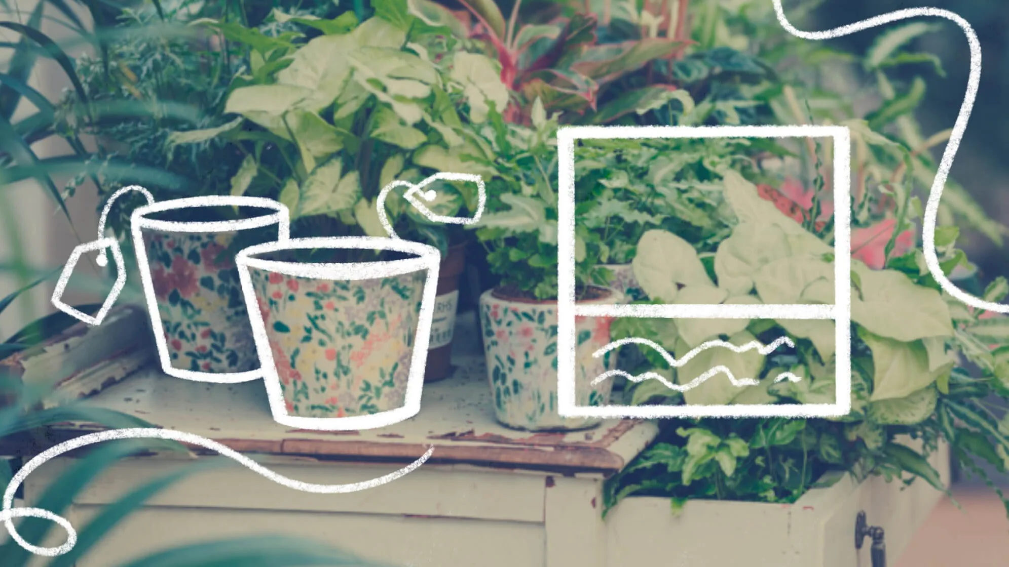 Content vs. Physical Goods vs. Both with Mandi Gubler