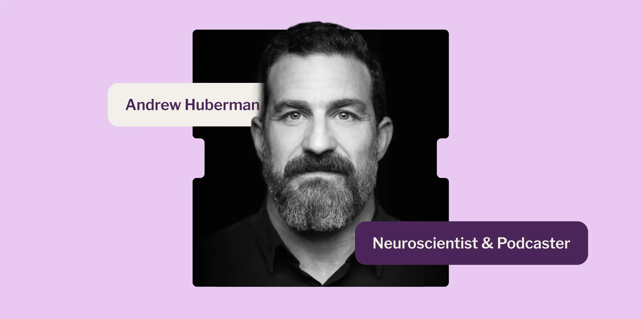 How Andrew Huberman built a million-subscriber email list on autopilot