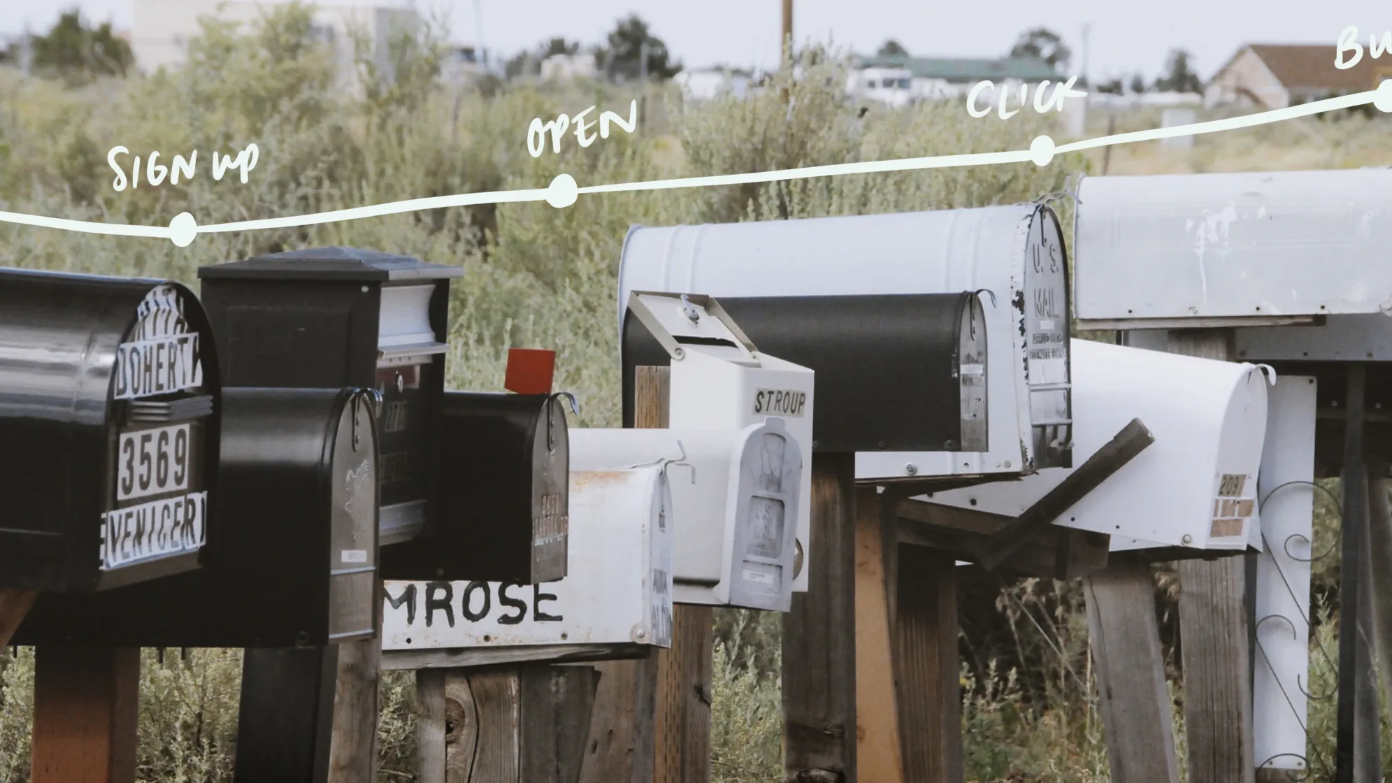 Email marketing KPIs: 12 metrics to fuel creator growth