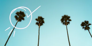 How to create and send email surveys that help you understand your audience