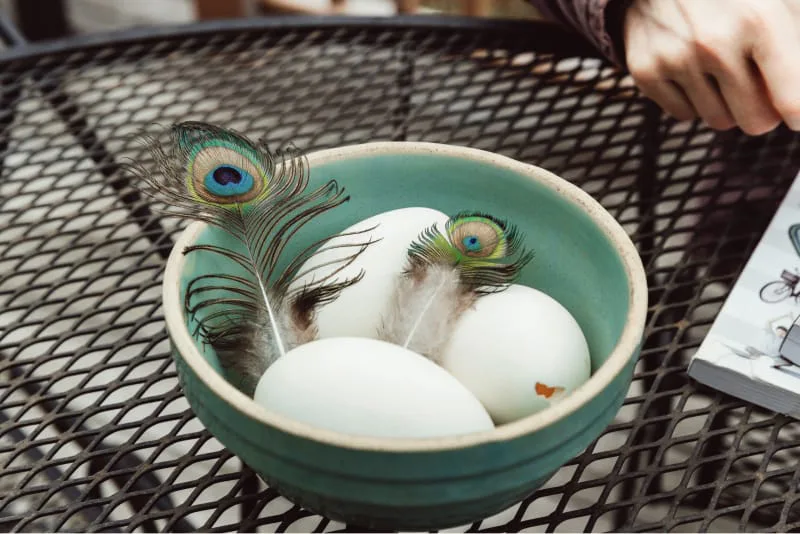 Eggs