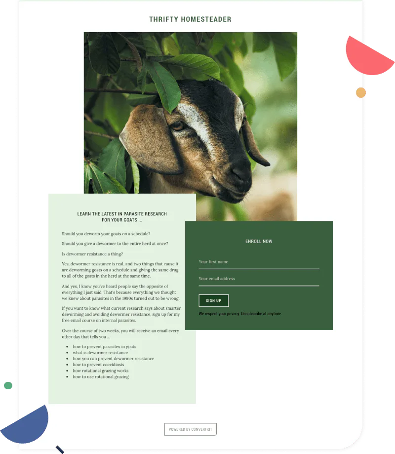 Deborah's landing page