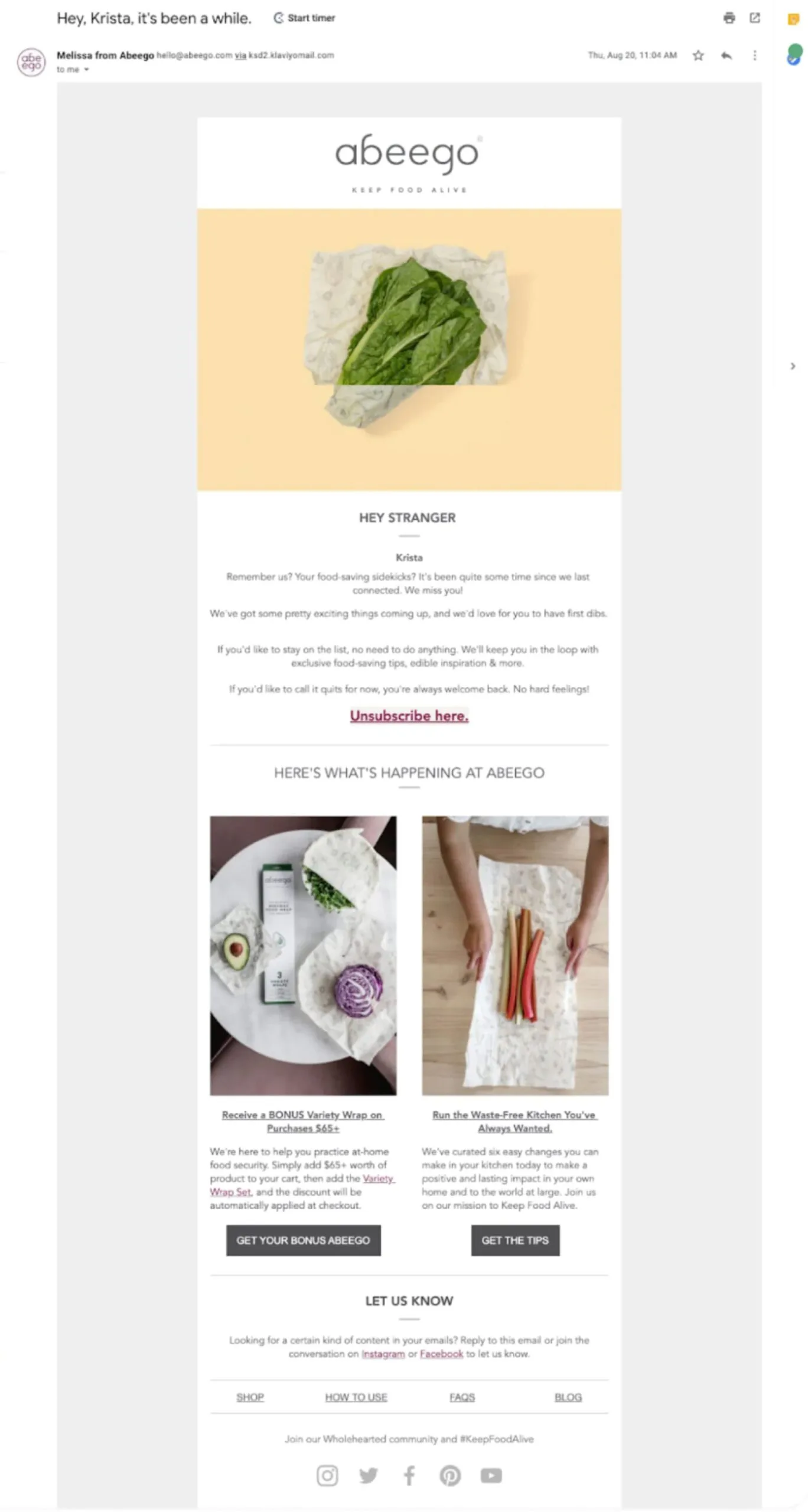 Abeego’s re-engagement campaign email helps subscribes decide whether to stay on the list or be purged