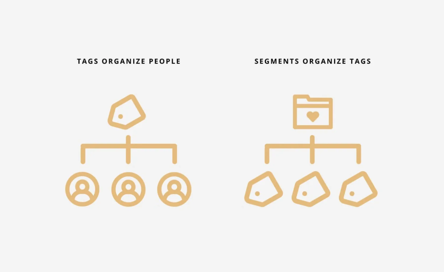 Refer back to your email segments or tags to send the email survey to the right target audience