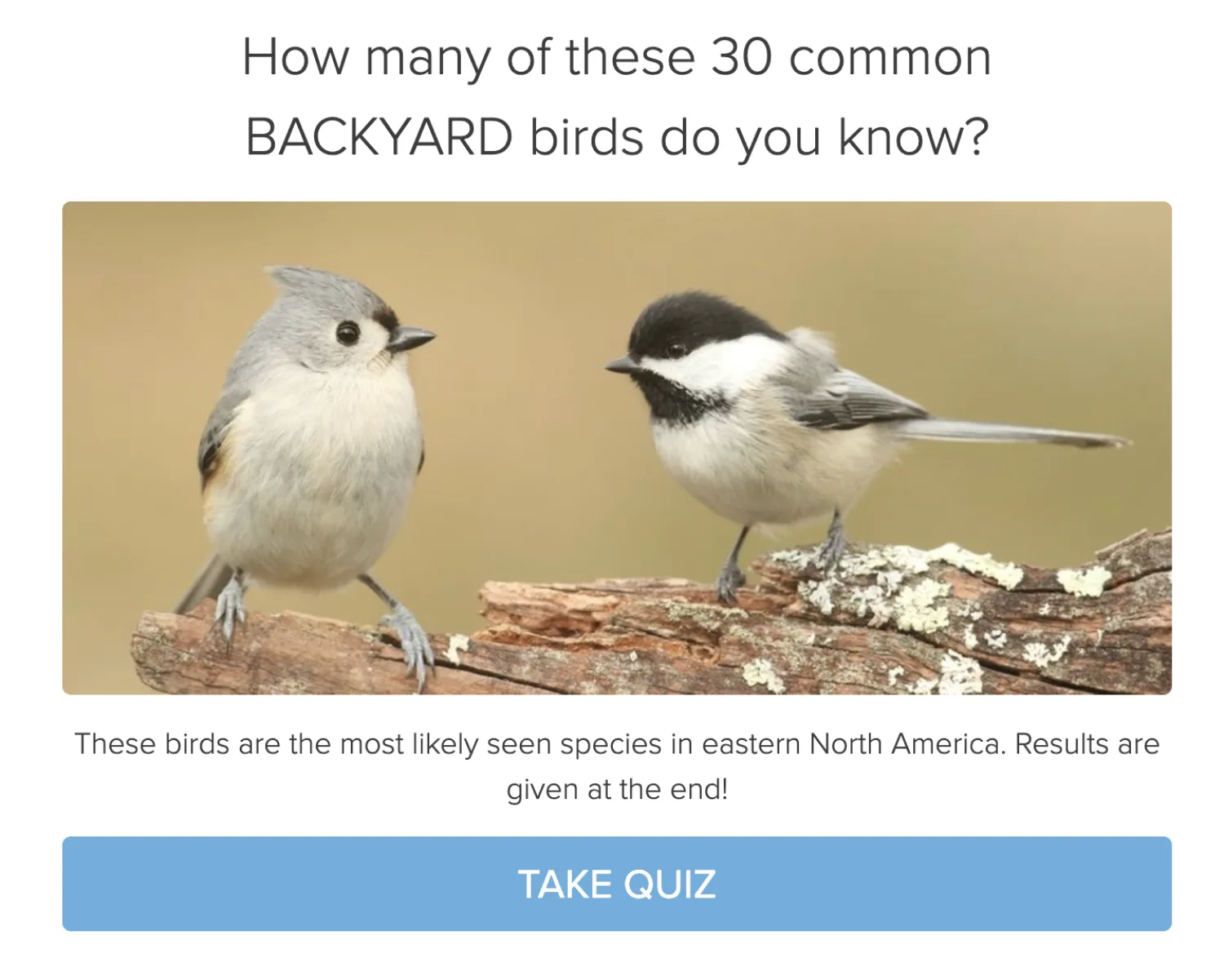 A high-converting landing page example by Bird Watching HQ