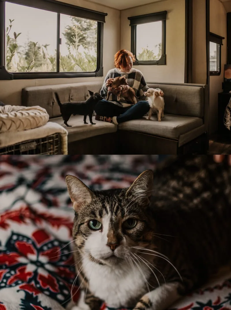 Jessica with her animals
